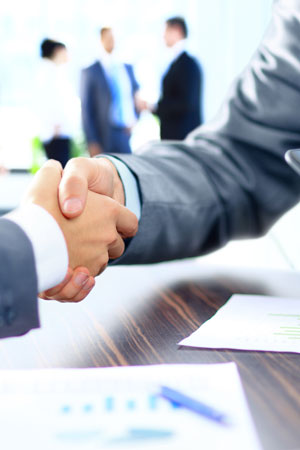 Partners in handshake